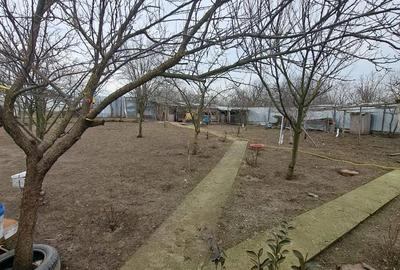 Casă cu 3 camere cu Teren 1010 Mp în Singureni