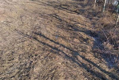 Teren de 1000 mp, în Daia