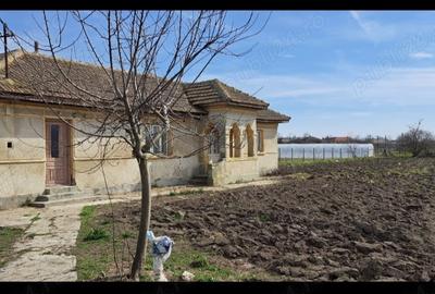 Casa de vanzare,comuna Pecineaga,Constan?a Casa de vanzare,comuna Pecineaga,Constan?a - 1