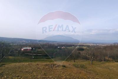 Teren Construcții intravilan de 3206 mp, în Remecioara - 2