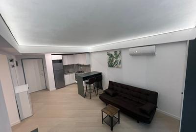 Apartament 2 camere Cortina North - 2