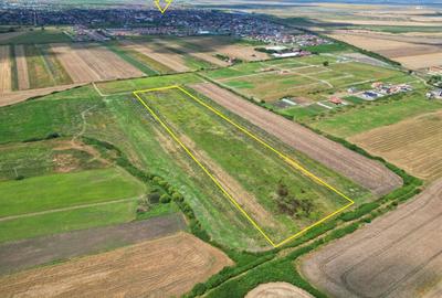 Teren Sacalaz 3,6 Ha - Pretabil PUZ Locuinte - 2