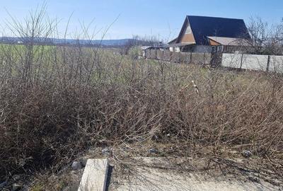 Teren de 7000 mp, în Oșorhei - 4