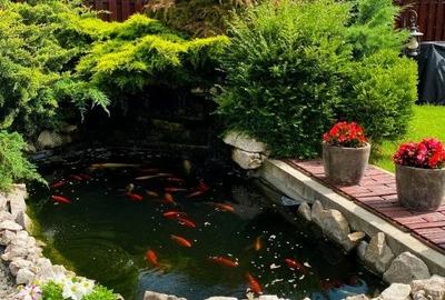 Casă individuală cu 5 camere cu Canalizare în Giroc - 16