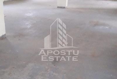 Spațiu industrial, de 700 mp, în Moșnița Nouă - 3