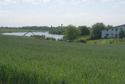 Teren cu vedere la lac Balotesti 600mp - 3