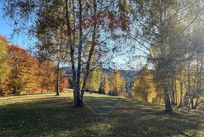 Oportunitate de investiție ! Teren de vis în Pestera - 125.370 mp - 31