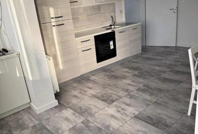 De inchiriat apartament 2 camere calea lipovei - 8