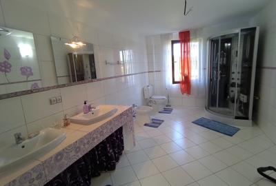 Casa de lux in Marginimea Sibiului oras Saliste - 10