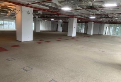 1 Mai Expozitiei Imobil Office - 15