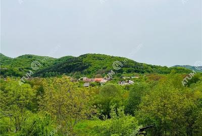 Cabana individuala cu 1226 mp teren zona Fantanele langa Sibiu - 20