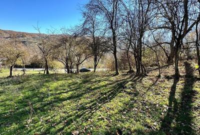 Teren 4044mp, 18 km de Campina, asfalt, utilitati, pretabil investitie - 1