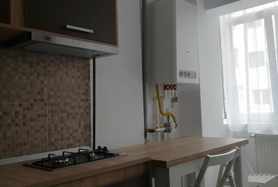 Garsonieră decomandată în Lacu - 8