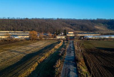 Fosta Ferma a Partidului de la Horgesti - de vanzare - 4