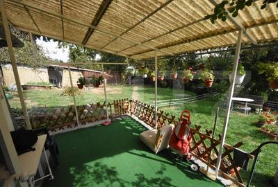 Casă individuală cu 3 camere cu Teren 978 Mp în Grigorescu - 2