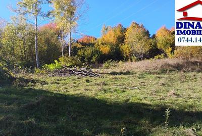 3600 mp teren intravilan, sat Bistrita, 19 Euro/mp - 7