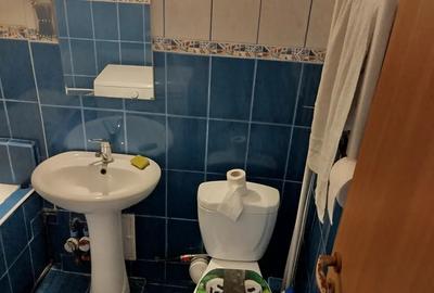 Garsonieră semidecomandată în Girocului - 8