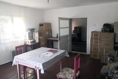 Teren de 12000 mp, în Ierbuș - 3