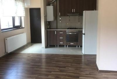 Apartament  2 camere  in vila  Domenii - 7