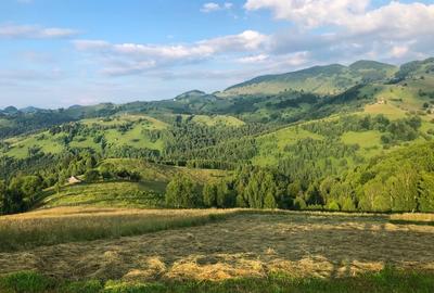 Teren Pestera Brasov 5000m - 3
