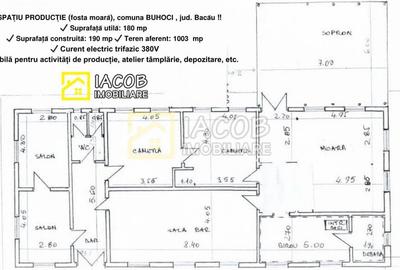 Spatiu productie (fosta moara) cu anexe, Buhoci, Bacau - 2