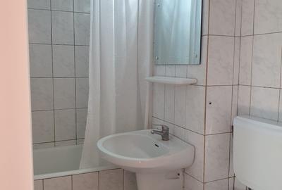 Apartament cu 2 camere semidecomandat, mobilat în Inel II - 18
