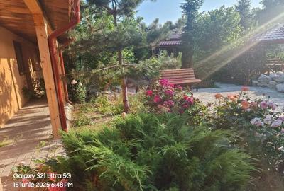 TEISORI (JUD. GIURGIU) - DE VZ CASA OASPETI + ANEXE - 43