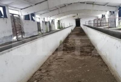 Oportunitate de investitie | 63.704mp teren | 6311mp constru - 5