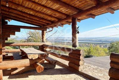 Casă cu Teren 2046 Mp în Tileagd - 4