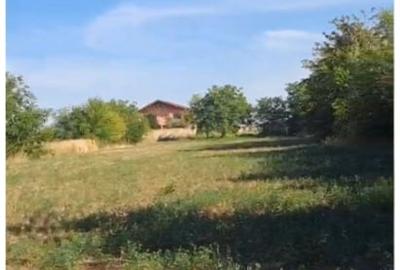 Teren Construcții intravilan de 3000 mp, în Lilieci - 2