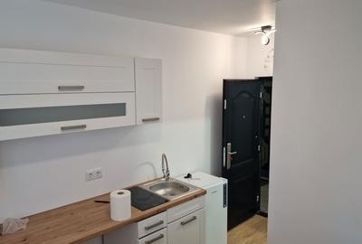 Garsonieră decomandată în Dosu Bricii - 6