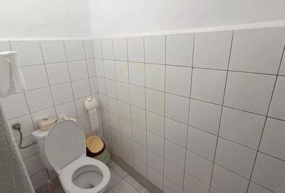 Spatiu Depozitare si Birouri | Zona Industriala Freidorf | Acces Auto/TIR - 2