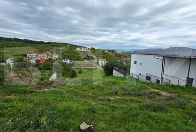 Casa cu 5 camere, 300 mp, teren 27 ari, Valea Rusului - 9