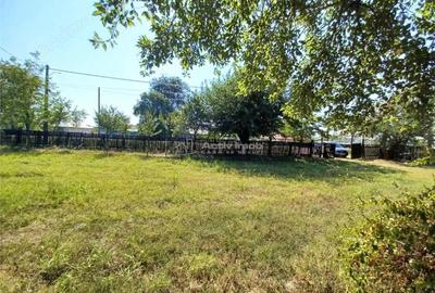 Casă cu 3 camere cu Teren 4658 Mp în Ghimpați - 2