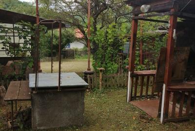 Proprietar-vand cabana cu livada teren mare-Stejeris-locatie deosebita - 1