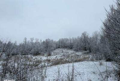 Spațiu comercial, în Provița de Jos - 6