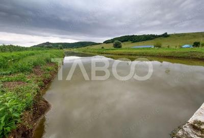 Casă cu 4 camere cu Piscina în Cașolț - 8