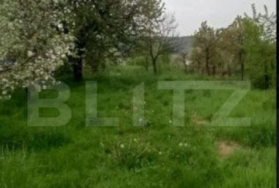 Casa Individuala in Voinesti - 2