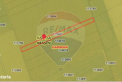 Teren de 5876 mp, în Sânpetru - 2