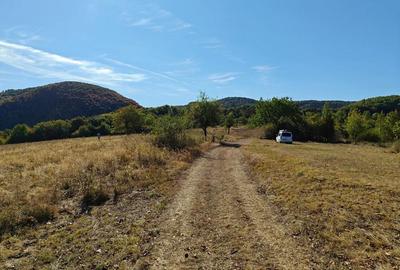 Teren de 35400 mp, în Balta - 1