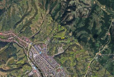 Teren de 4500 mp, în Govândari - 15