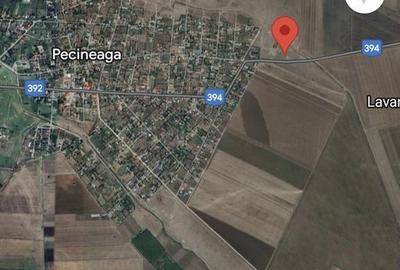 Teren de 500 mp, în Pecineaga - 2