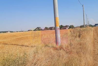 Teren pentru casa/case in Brane?ti pe strada Topora?i - 29