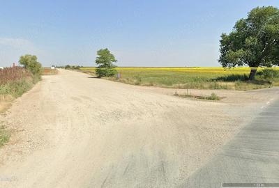 Teren de 480000 mp, în Horia - 6