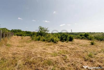 Teren de 1200 mp, în Paleu - 16