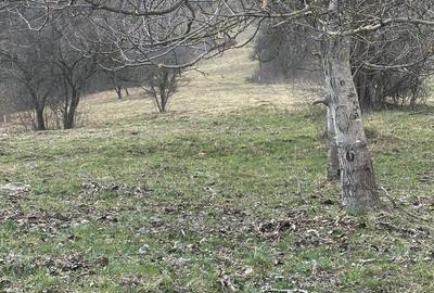 Spațiu comercial, în Bran - 3