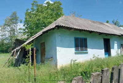 Casă cu 4 camere în Central - 1