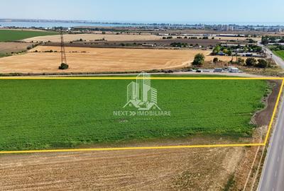 Teren extravilan 28.405mp Poiana - 1