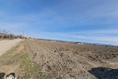 Teren de 710 mp, în Calea Bârladului - 2