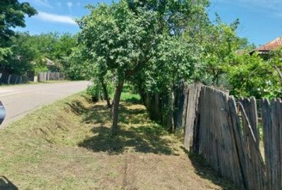 Vand casa in Teleorman, sat Albeni - 9